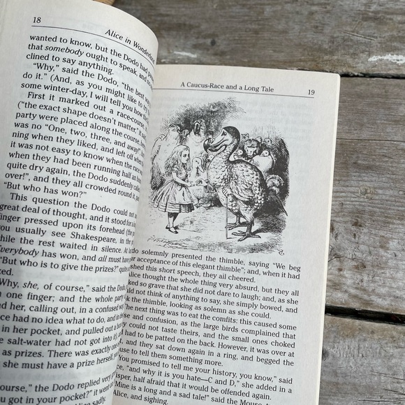 Alice in Wonderland book - Picture 7 of 8